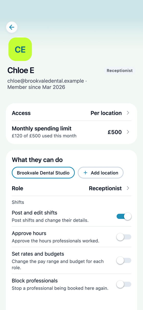 TempDash Business app: what a team member can do, with their spending limit