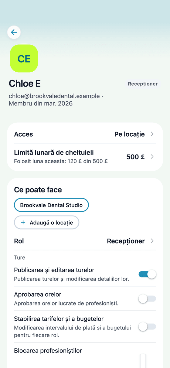 Aplicația TempDash Business: ce poate face un membru al echipei și limita lui de cheltuieli